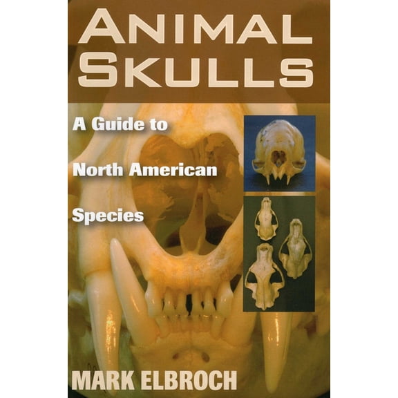 Animal Skulls, (Paperback)