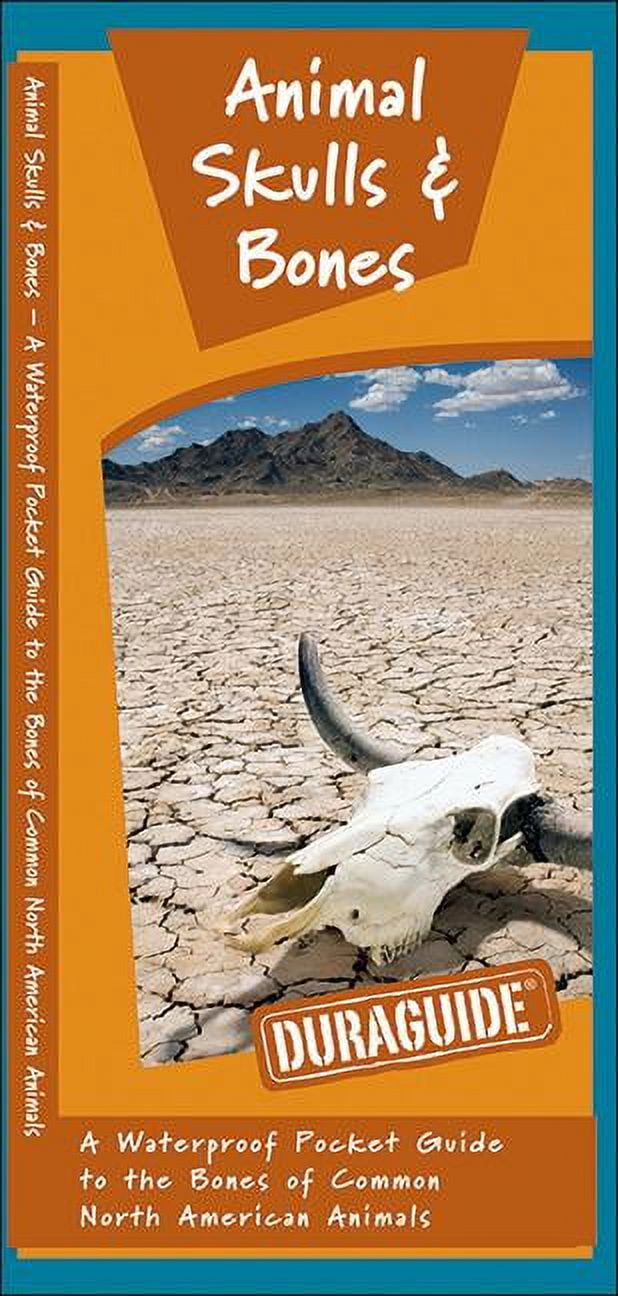 Animal Skulls & Bones A Waterproof Pocket Guide to the Bones of