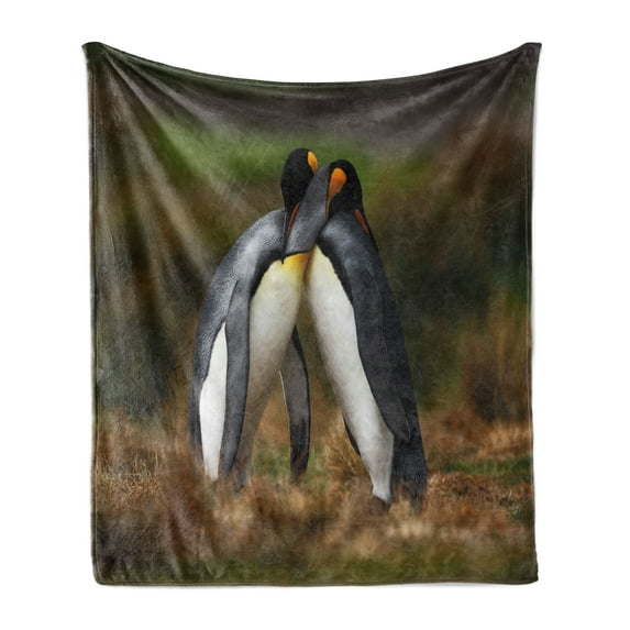 Animal Soft Flannel Fleece Blanket, Penguin Couple Cuddling in Wild Nature Love Affection Romance Falkland Islands Fauna, Cozy Plush for Indoor and Outdoor Use, 50" x 70", Multicolor, by Ambesonne