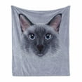 thumbnail image 1 of Animal Soft Flannel Fleece Blanket, Portrait Image of Thai Siamese Cat with Retro Style Lettering Artwork, Cozy Plush for Indoor and Outdoor Use, 50" x 70", White Sky Blue and Grey, by Ambesonne, 1 of 6