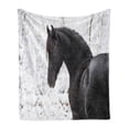 thumbnail image 1 of Animal Soft Flannel Fleece Throw Blanket, Friesian Sport Horse Portrait on a Snowy Winter Background Novelty Picture Print, Cozy Plush for Indoor and Outdoor Use, 60" x 80", White, by Ambesonne, 1 of 5