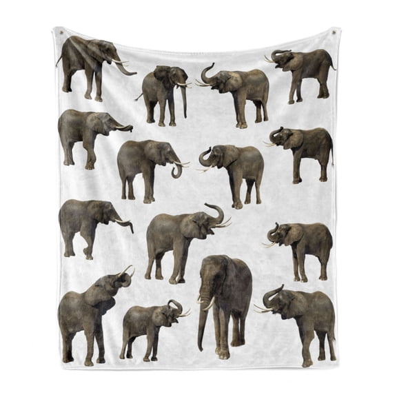 Animal Soft Flannel Fleece Throw Blanket, Group ofTusk Ear Large Wild Life Jungle Mammal Forest Jungle Life, Cozy Plush for Indoor and Outdoor Use, 60" x 80", Sepia White, by Ambesonne