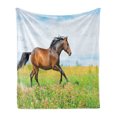 thumbnail image 1 of Animal Soft Flannel Fleece Throw Blanket, Horse Runs Gallop on Flower Meadow Rural Freedom Animal, Cozy Plush for Indoor and Outdoor Use, 70" x 90", Green Brown Baby Blue, by Ambesonne, 1 of 6