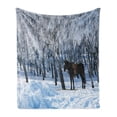 thumbnail image 1 of Animal Soft Flannel Fleece Throw Blanket, Horse between Trees in the Winter Forest Frozen Woods Icy Land Nature Picture, Cozy Plush for Indoor and Outdoor Use, 50" x 60", Brown White, by Ambesonne, 1 of 6