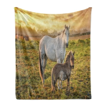 Animal Soft Flannel Fleece Throw Blanket, Horses in a Pasture with Tangerine Tone Sunset Northern California, Cozy Plush for Indoor and Outdoor Use, 60" x 80", Dark Taupe Multicolor, by Ambesonne