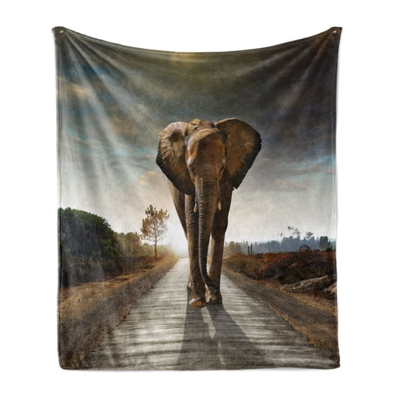 Animal Soft Flannel Fleece Throw Blanket, Lonely Animal Walking down a Road with Trees and Hills Nature Theme in Africa, Cozy Plush for Indoor and Outdoor Use, 60" x 80", Multicolor, by Ambesonne