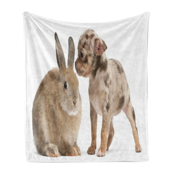 Animal Soft Flannel Fleece Throw Blanket, Pet Photo of Chihuahua Puppy with Rabbit on Plain Background, Cozy Plush for Indoor and Outdoor Use, 60" x 80", Ecru and Taupe, by Ambesonne