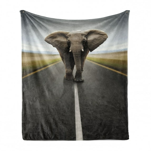 Animal Soft Flannel Fleece Throw Blanket, Wild Animal Mammal with Massive Ears Patrolling on Highway Conceptual Art, Cozy Plush for Indoor and Outdoor Use, 50" x 60", Black Cocoa Grey, by Ambesonne