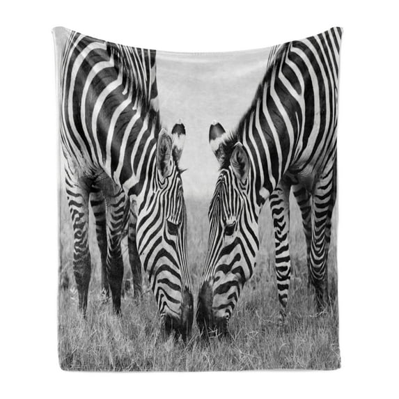 Animal Soft Flannel Fleece Throw Blanket, Zebras Wildlife Burchell Safari Theme National Park Monochrome Picture, Cozy Plush for Indoor and Outdoor Use, 60" x 80", Black White, by Ambesonne