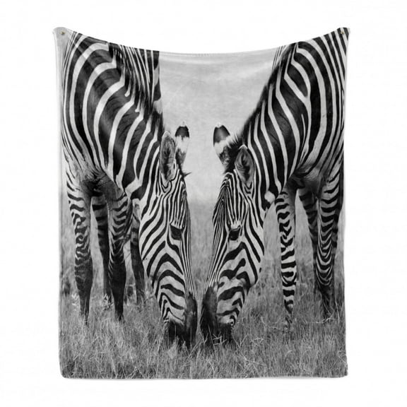 Animal Soft Flannel Fleece Throw Blanket, Zebras Wildlife Burchell Safari Theme National Park Monochrome Picture, Cozy Plush for Indoor and Outdoor Use, 70" x 90", Black White, by Ambesonne