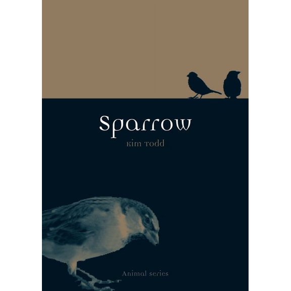 Animal: Sparrow (Paperback)