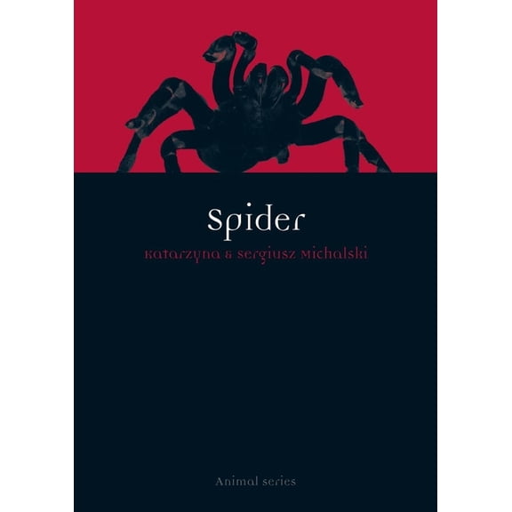 Animal: Spider (Paperback)