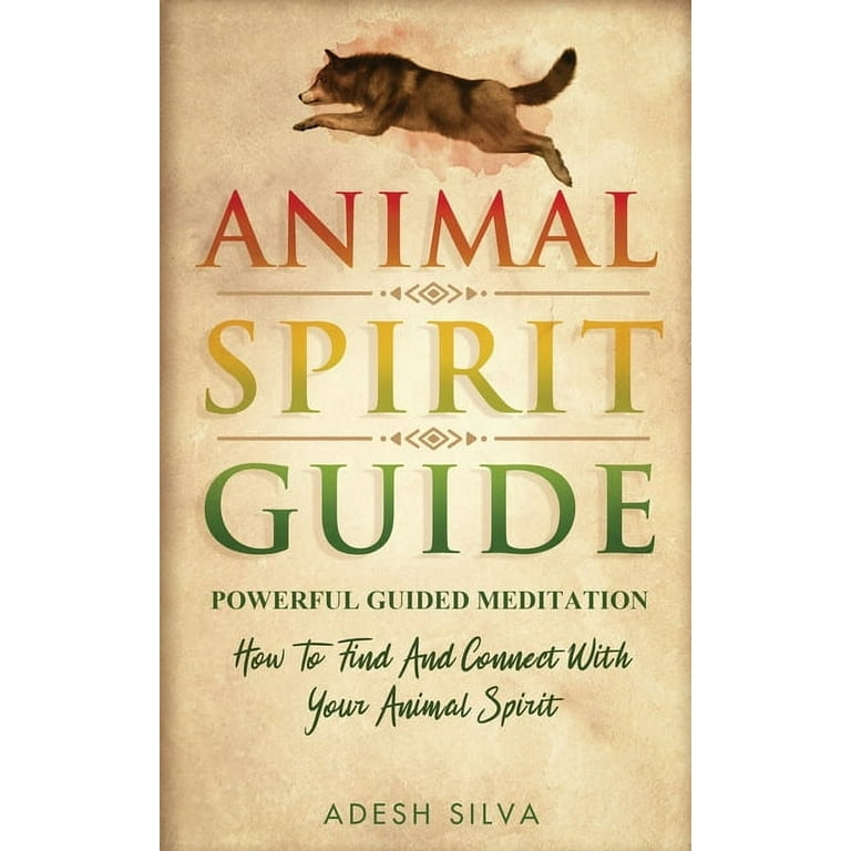 Meditation Guide