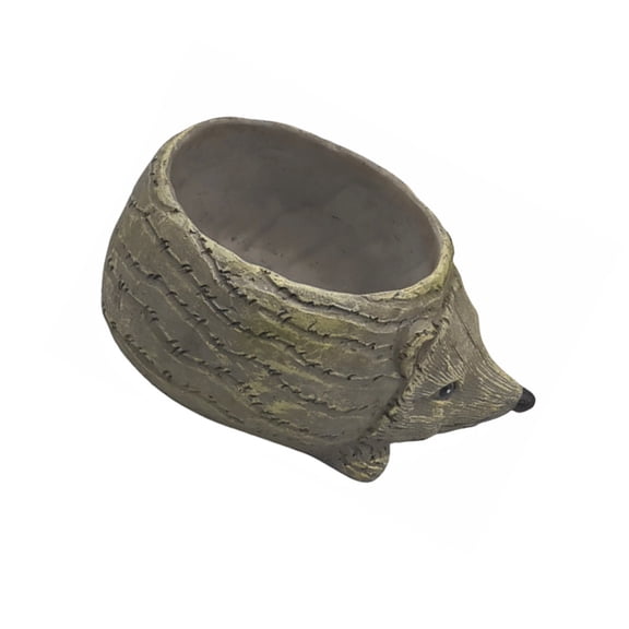 Animal Succulent Planter Resin Cactus Flower Pots Turtles/Snail/Hedgehogs Plant Holder for Indoor Home Office Decoration