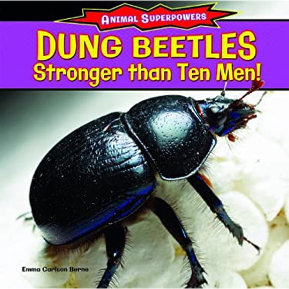 Pre-Owned Dung Beetles (Hardcover) 9781477707487