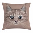 thumbnail image 1 of Animal Throw Pillow Cushion Cover, Portrait of Domestic Cat Cute Face Baby Kitten Pet Whiskers Fluffy Feline, Decorative Square Accent Pillow Case, 16 X 16 Inches, Umber Brown Bluegrey, by Ambesonne, 1 of 2