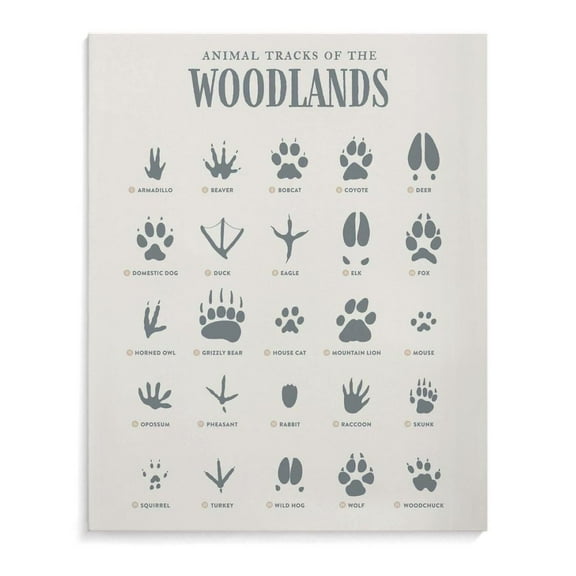 Animal Tracks Field Guide Knowledge Poster (4) Bedroom Office Printed Canvas Wall Art Decoration Painting Poster