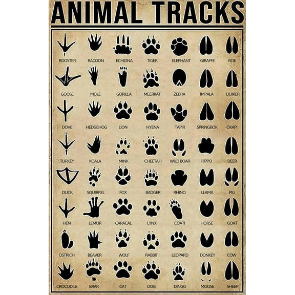 Animal Tracks Knowledge Metal Tin Sign Animal Footprint Types Funny Poster School Education Living Room Kitchen Bathroom Room Home Art Wall Decoration Plaque Gift