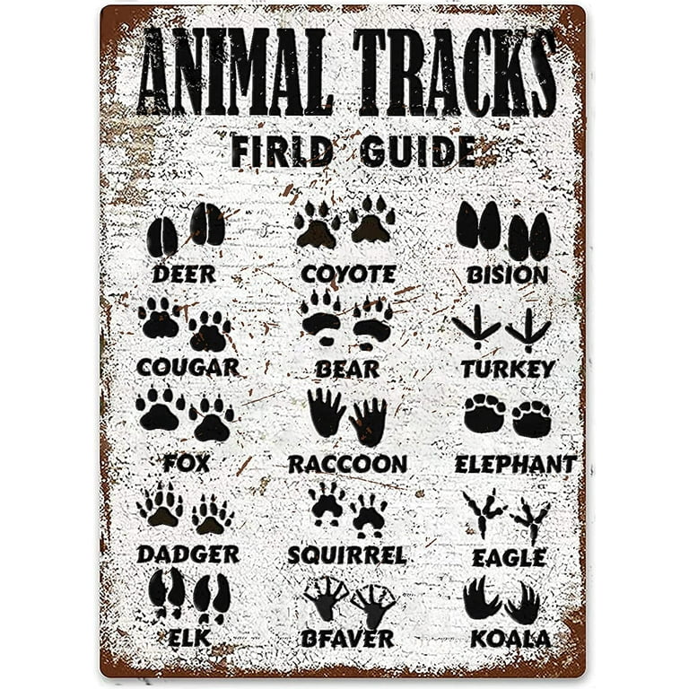 Animal Tracks Signs Woodland Nursery Decor Field Guide Metal