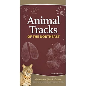 Pre-Owned Animal Tracks of the Northeast: Your Way to Easily Identify Animal Tracks (Adventure Quick Guides) Paperback