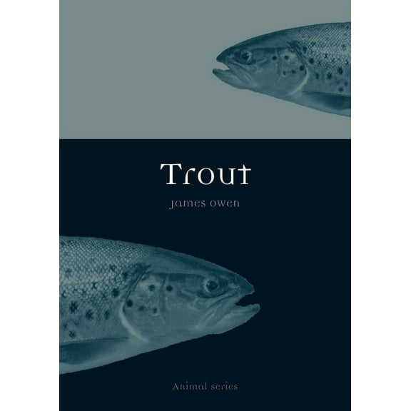 Animal: Trout (Paperback)