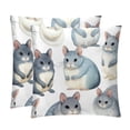 thumbnail image 1 of Animal Velvet Bed Pillow Throw Covers Pillow Inserts Throw Pillows with Unique Patterns - Set of 2, Sizes 16x16, 18x18, 20x20 Inches for Various Occasions, 1 of 6