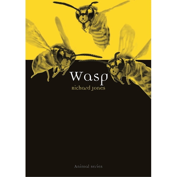Animal: Wasp (Paperback)