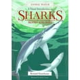 thumbnail image 1 of Pre-Owned A Visual Introduction to Sharks: A Visual Introduction to Sharks, Skates, and Rays (Hardcover) 0816039240 9780816039241, 1 of 1