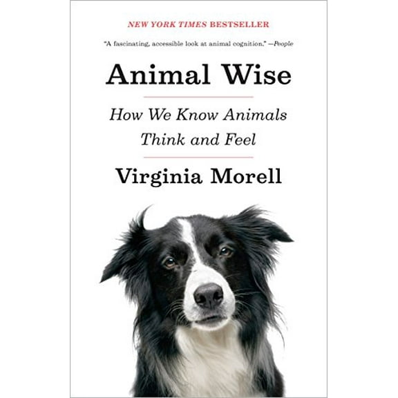 Pre-Owned Animal Wise: How We Know Animals Think and Feel (Paperback) 0307461459 9780307461452