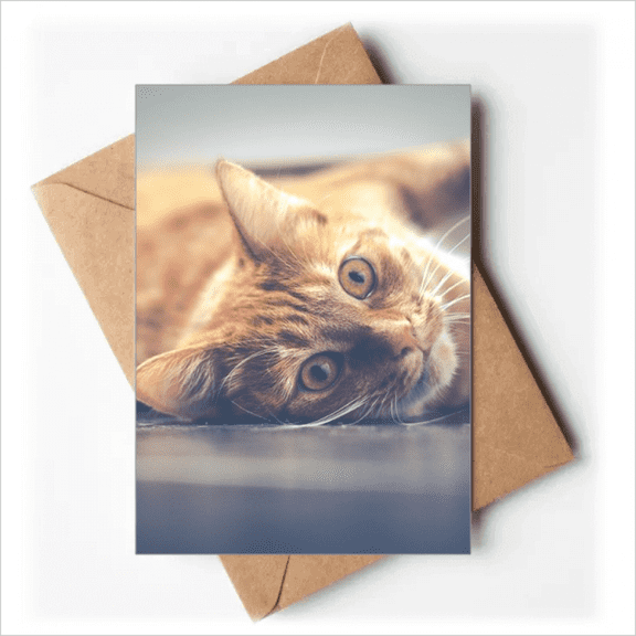 Animal Yellow Cat Photograph Picture Greeting Cards You are Invited Invitations