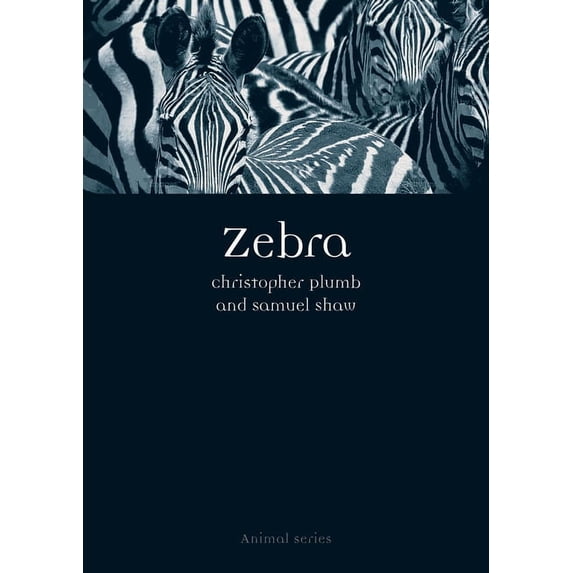 Animal: Zebra (Paperback)