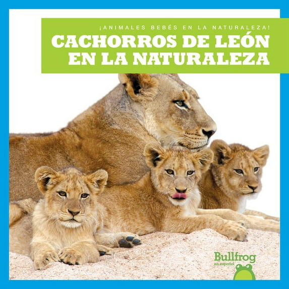 ¡Animales Bebés En La Naturaleza! (Baby Cachorros de León En La Naturaleza (Lion Cubs in the Wild), (Hardcover)