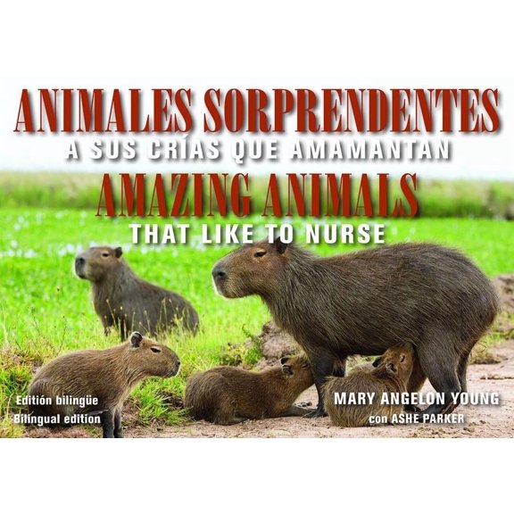 Animales Sorprendentes / Amazing Animals - English & Spa