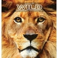 thumbnail image 1 of Animales WILD Retratos en Primer Plano: Álbum de fotos en color. Idea de regalo para los amantes de los animales y la naturaleza. Libro de fotos con primeros planos de animales salvajes, libres en su, 1 of 1