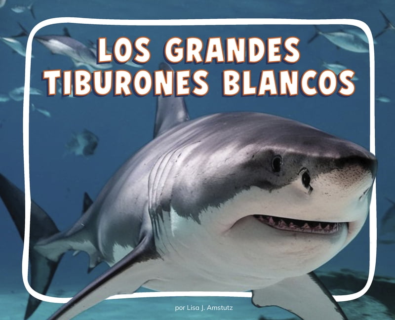 Knowledge Builders: Animales del OcÃ©ano Los Grandes Tiburones Blancos (Great White Sharks), (Hardcover)