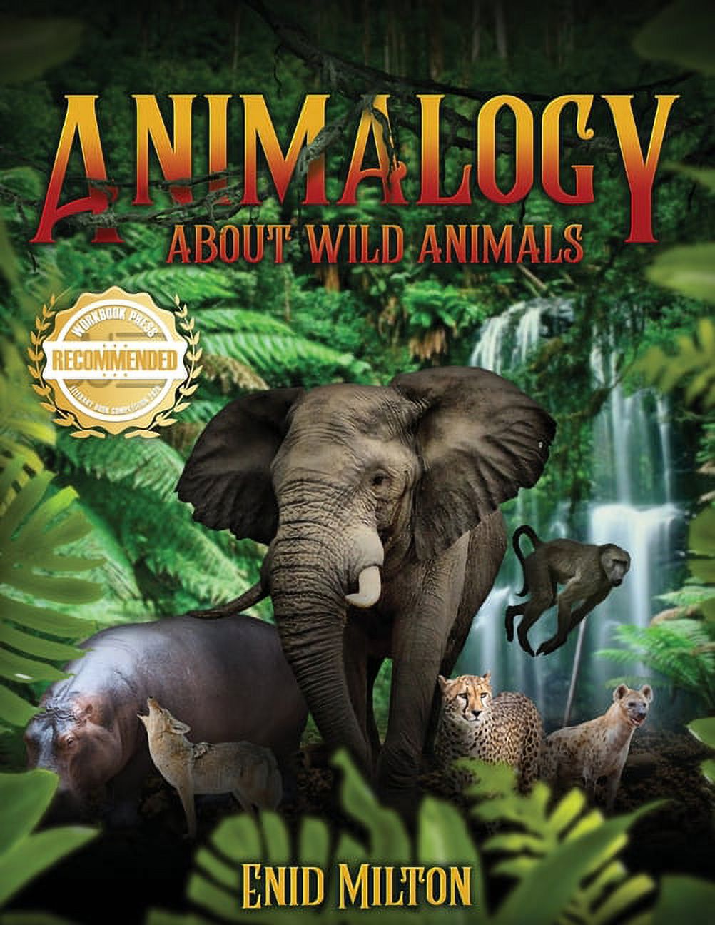 Animalogy: About Wild Animals, (Paperback) - Walmart.com