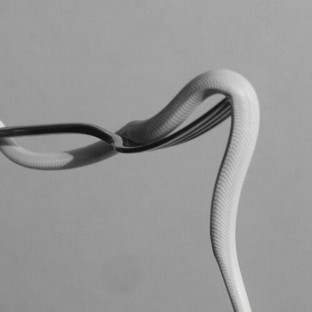 Animals As Leaders - Parrhesia - Music & Performance - Vinyl