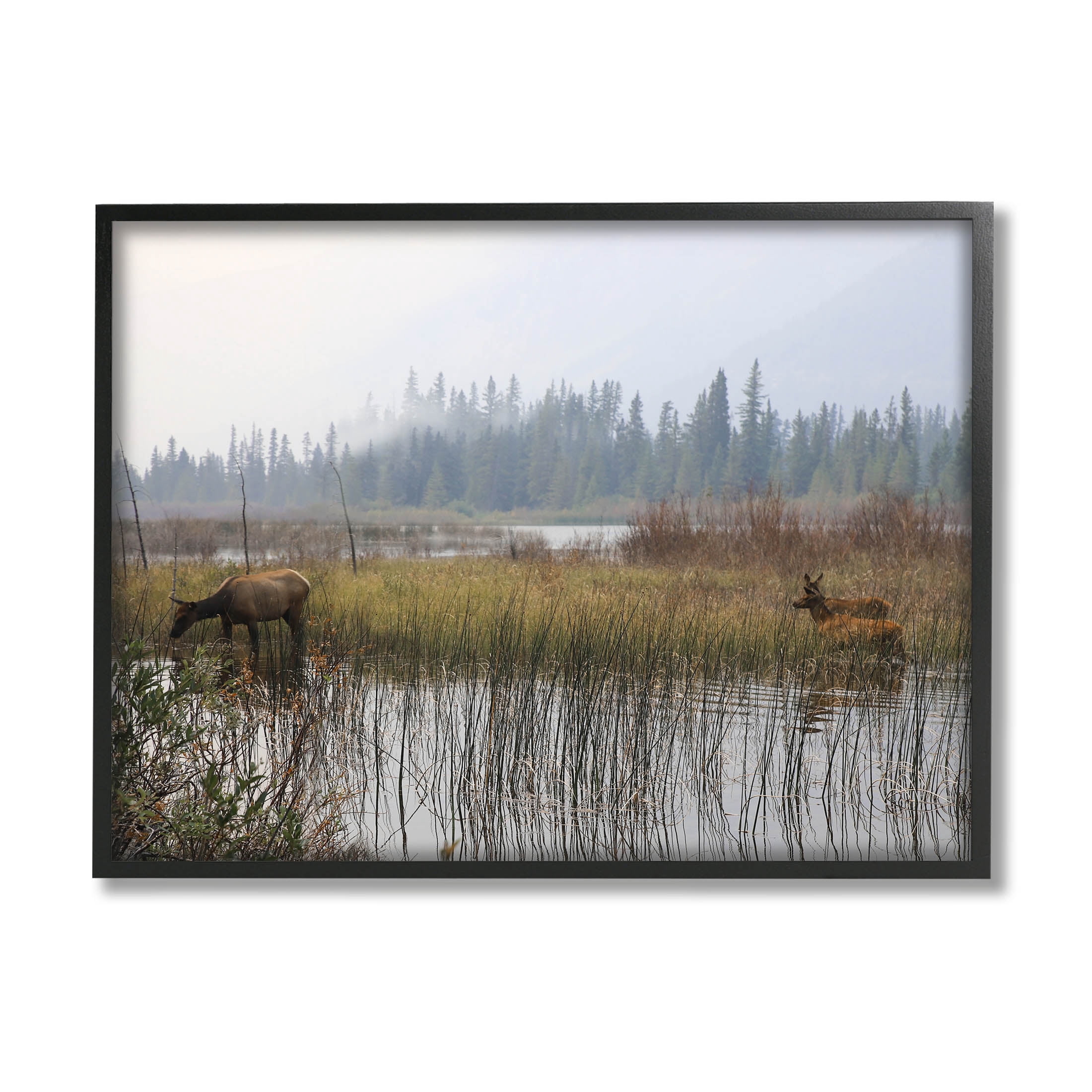 Animals Grazing Creek Landscape Landscape Photograph Black Framed Art Print Wall Art