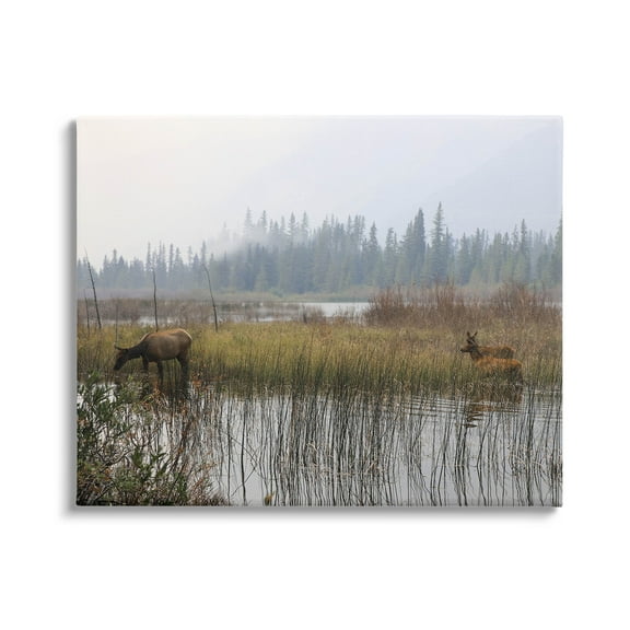 Animals Grazing Creek Landscape Landscape Photograph Gallery Wrapped Canvas Print Wall Art