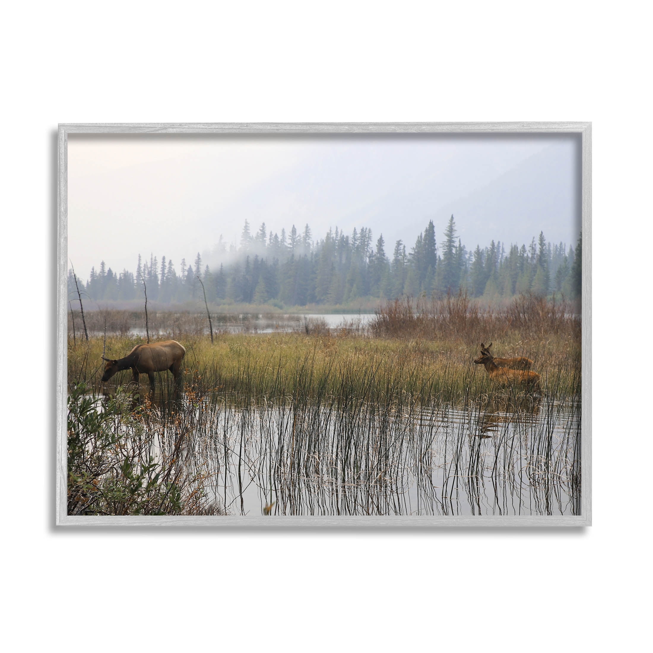 Animals Grazing Creek Landscape Landscape Photograph Gray Framed Art Print Wall Art