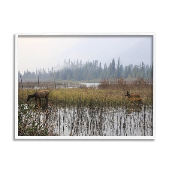 Animals Grazing Creek Landscape Landscape Photograph White Framed Art Print Wall Art