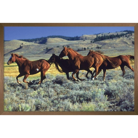 Animals - Horses Running on the Planes Wall Poster, 14.725" x 22.375", Framed