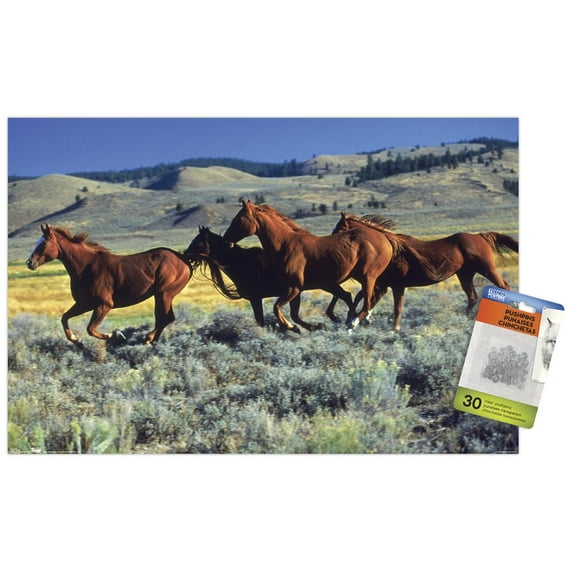 Animals - Horses Running on the Planes Wall Poster with Push Pins, 14.725" x 22.375"