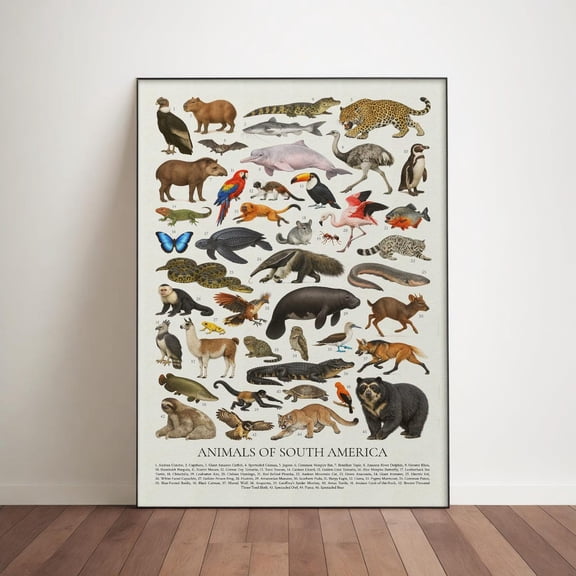 Animals Of South America Poster, Wildlife Identification Chart, Unframed Paper Poster 11x14in