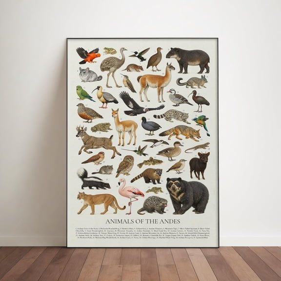Animals Of The Andes Poster, Animal Identification Chart, Unframed Paper Poster 8x10in