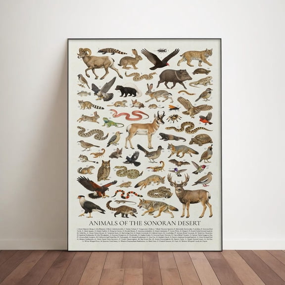 Animals Of The Sonoran Desert Poster, Retro Identification Chart, Unframed Paper Poster 8x10in