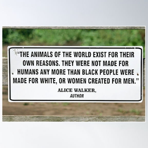 Animals Of The World... Poster Wall Art, Modern Wall Decor For Living Room Bedroom, 8x12 UNFRAMED
