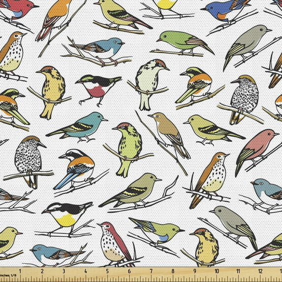 Animals Sofa Upholstery Fabric by the Yard, Natural Illustration of Colorful Different Birds on Branches Plain Background, Decorative Fabric for DIY and Home Accents, Multicolor by Ambesonne