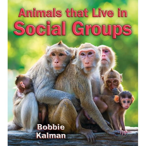 Big Science Ideas: Animals That Live in Social Groups (Paperback)