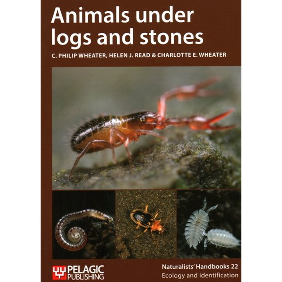 Animals Under Logs and Stones (Edition 2) (Paperback)